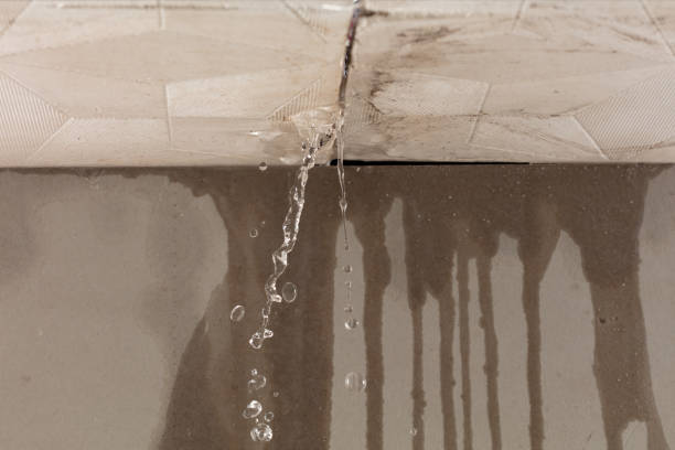 Professional Structural Drying technician working in New Hampshire, OH